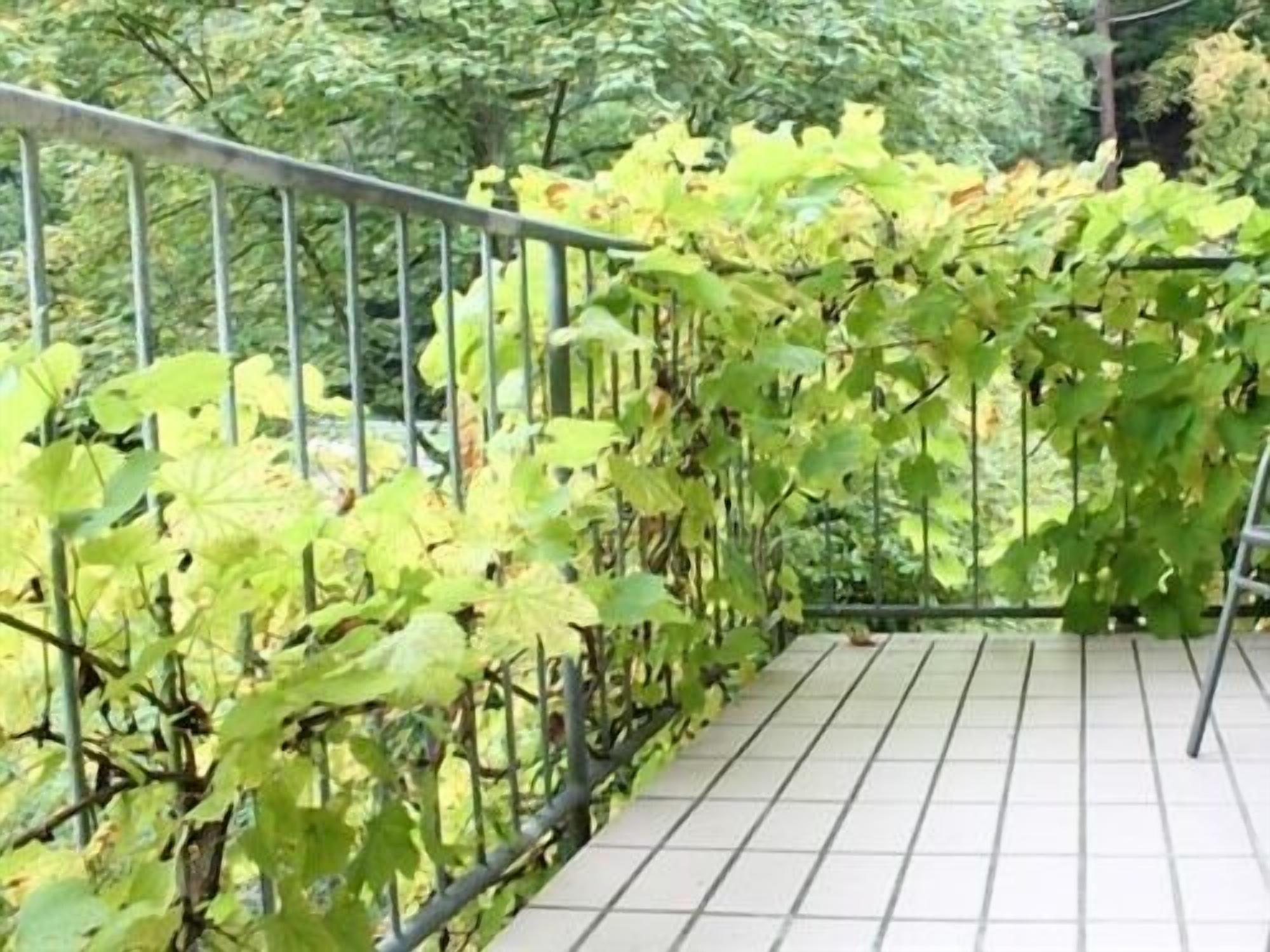Hotel Winneburg Cochem Bagian luar foto