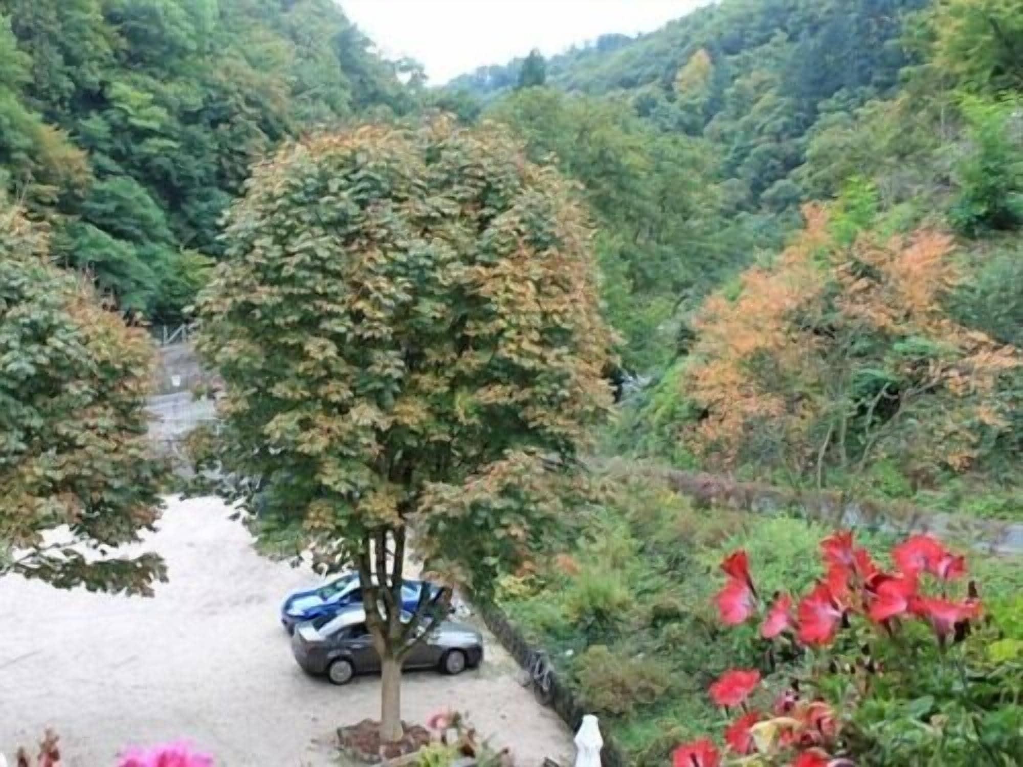Hotel Winneburg Cochem Bagian luar foto