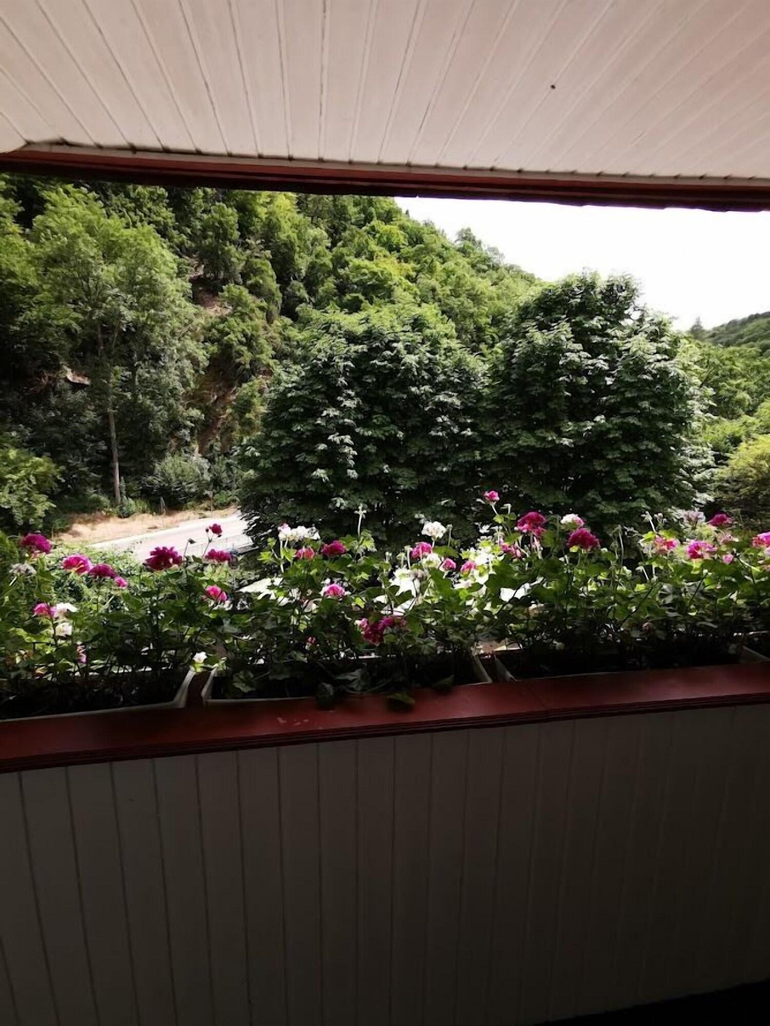 Hotel Winneburg Cochem Bagian luar foto